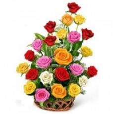 24 Multicolour Roses Basket